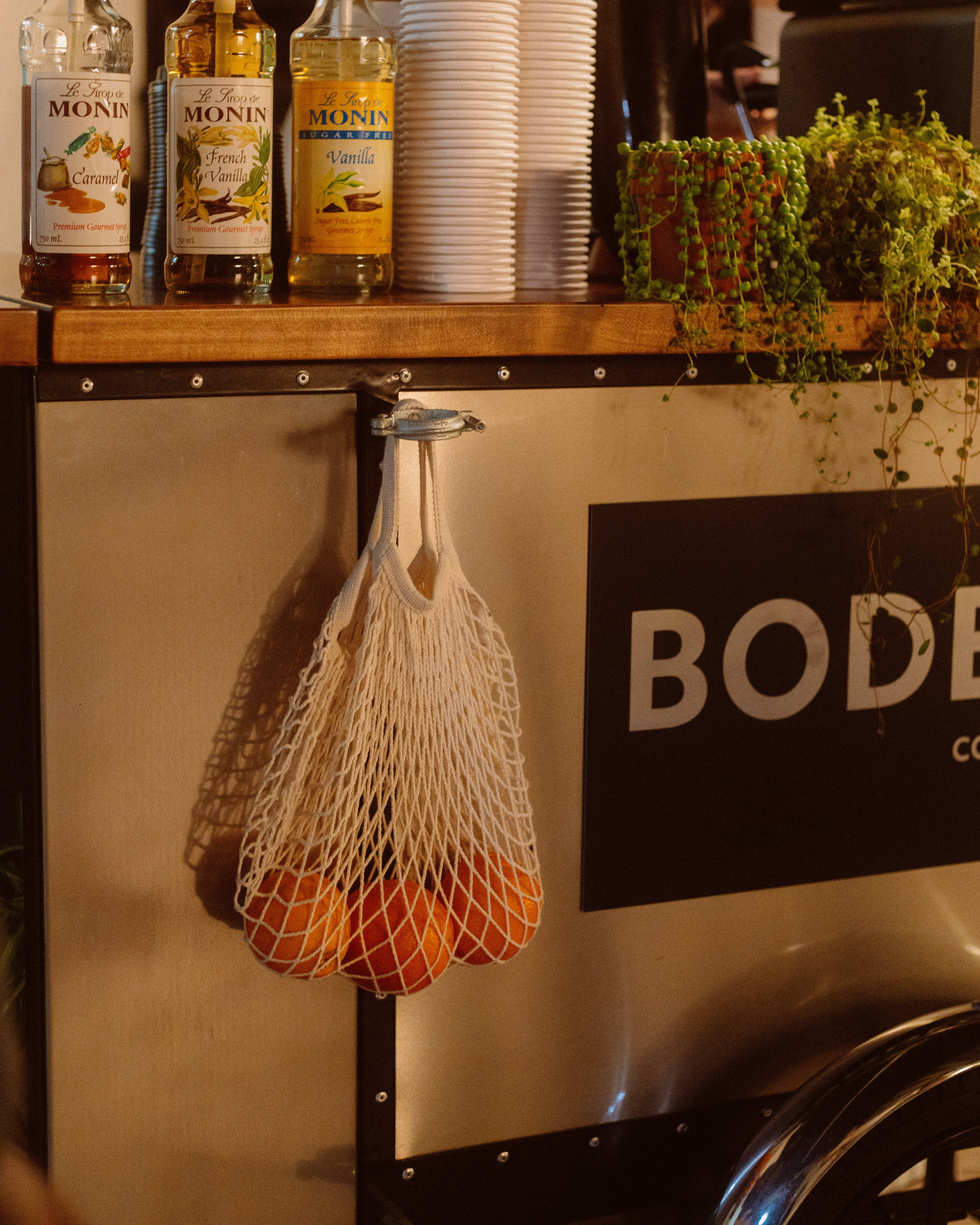 Bodega Trike side with plants. -Bodega Coffee Roasters